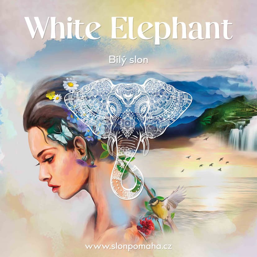 Galerie White Elephant – obrázek 11