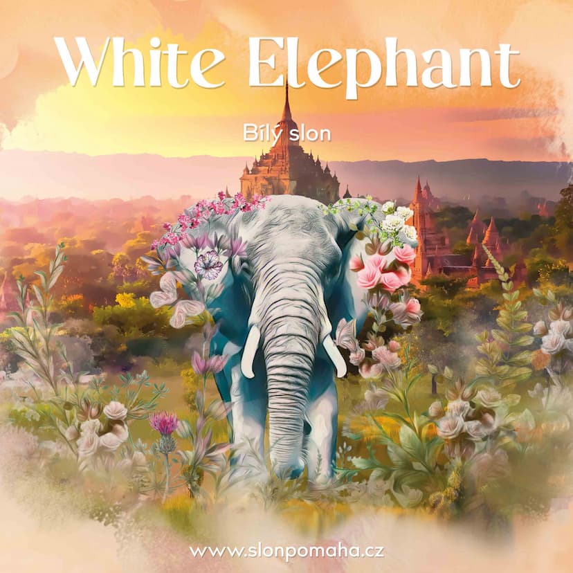 Galerie White Elephant – obrázek 12