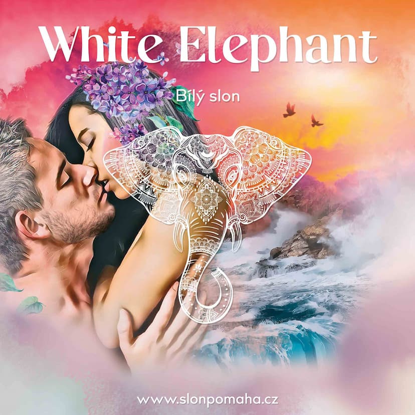 Galerie White Elephant – obrázek 13
