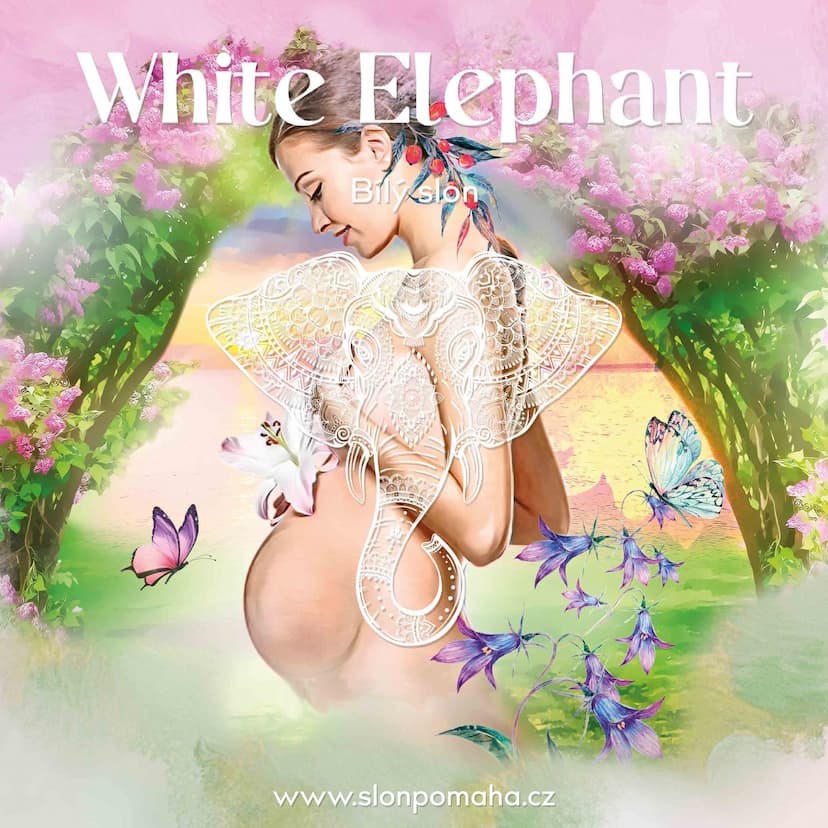 Galerie White Elephant – obrázek 14