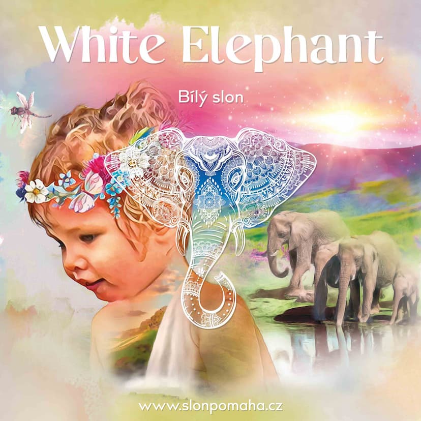 Galerie White Elephant – obrázek 15