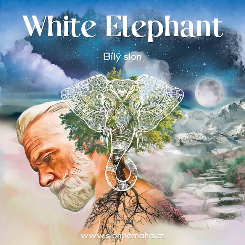 Galerie White Elephant – obrázek 16