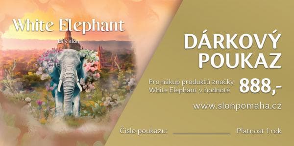 Dárkový poukaz - KRÁL