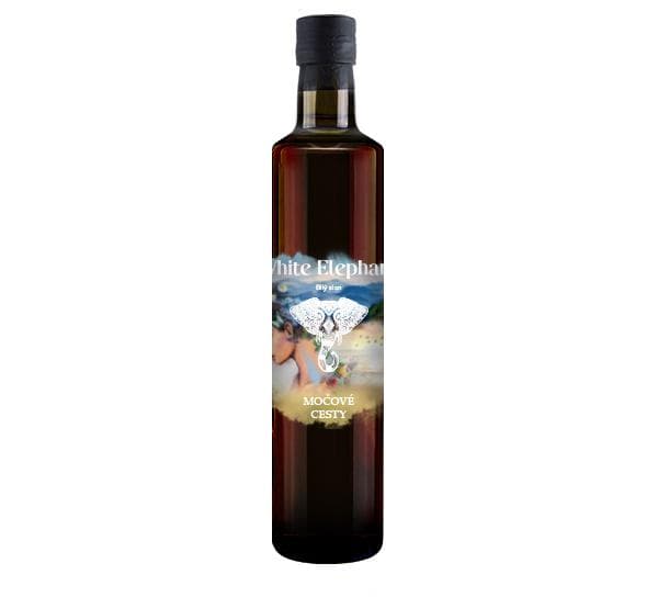 Močové cesty