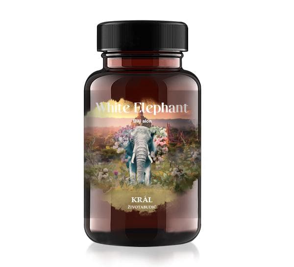 Král - tablety